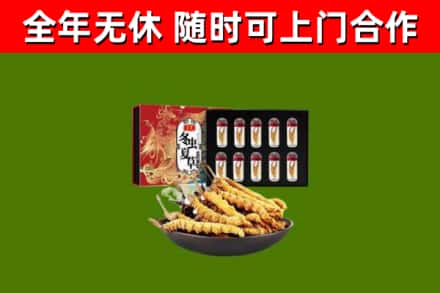 猇亭区回收冬虫夏草价格